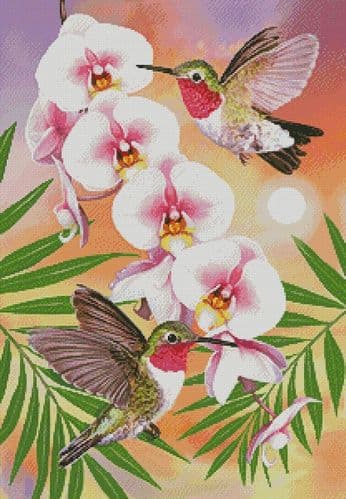 Annas Hummingbirds with Phalaenopsis by Artecy printed cross stitch chart